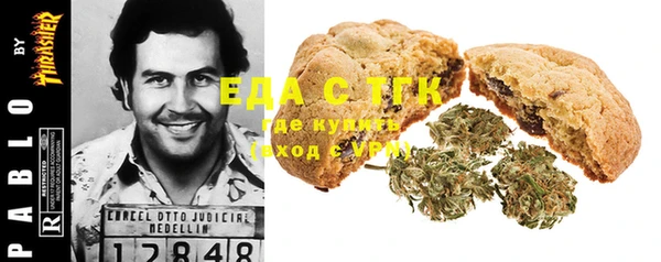 хмурый Алзамай