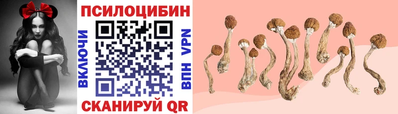 Псилоцибиновые грибы Psilocybe  Шимановск 